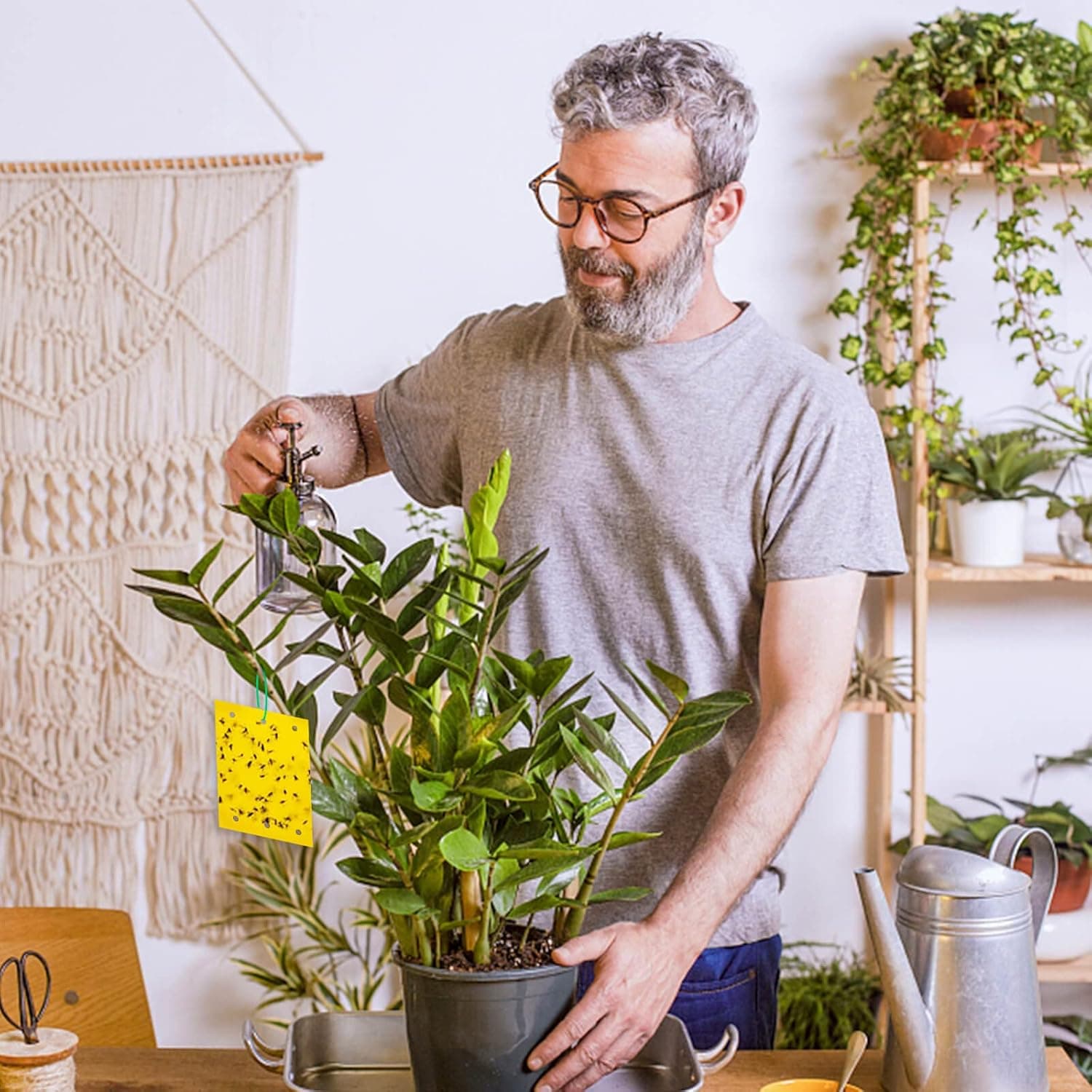 Lepy EKO na muszki mszyce owady ziemiórki 20x