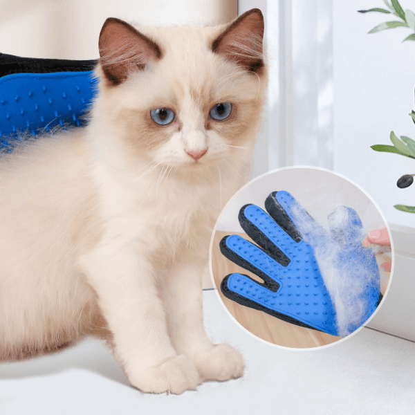 Rękawica dla zwierząt