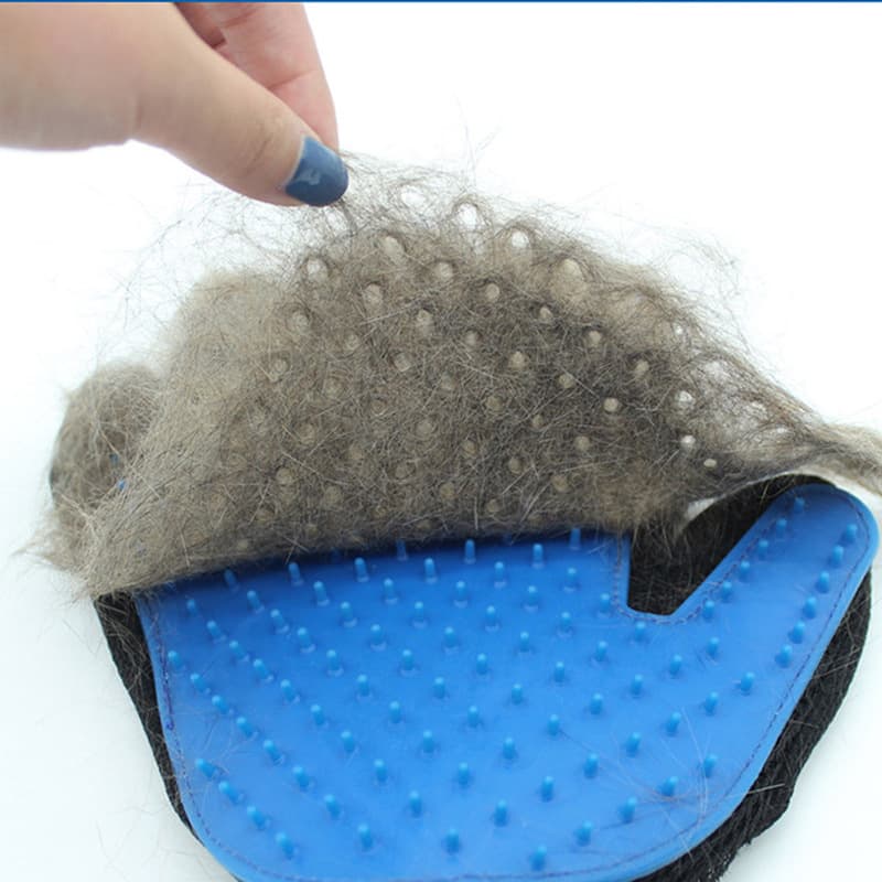 Rękawica dla zwierząt