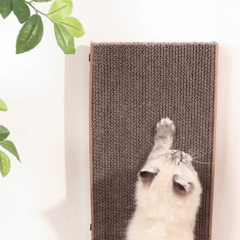 Drapak dla Kota Narożny +GRATIS PIŁKA