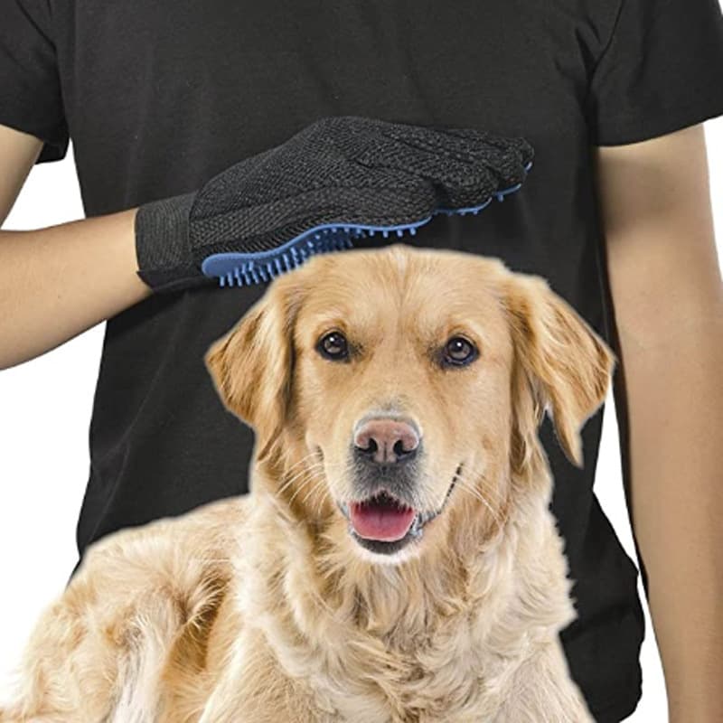 Rękawica dla zwierząt