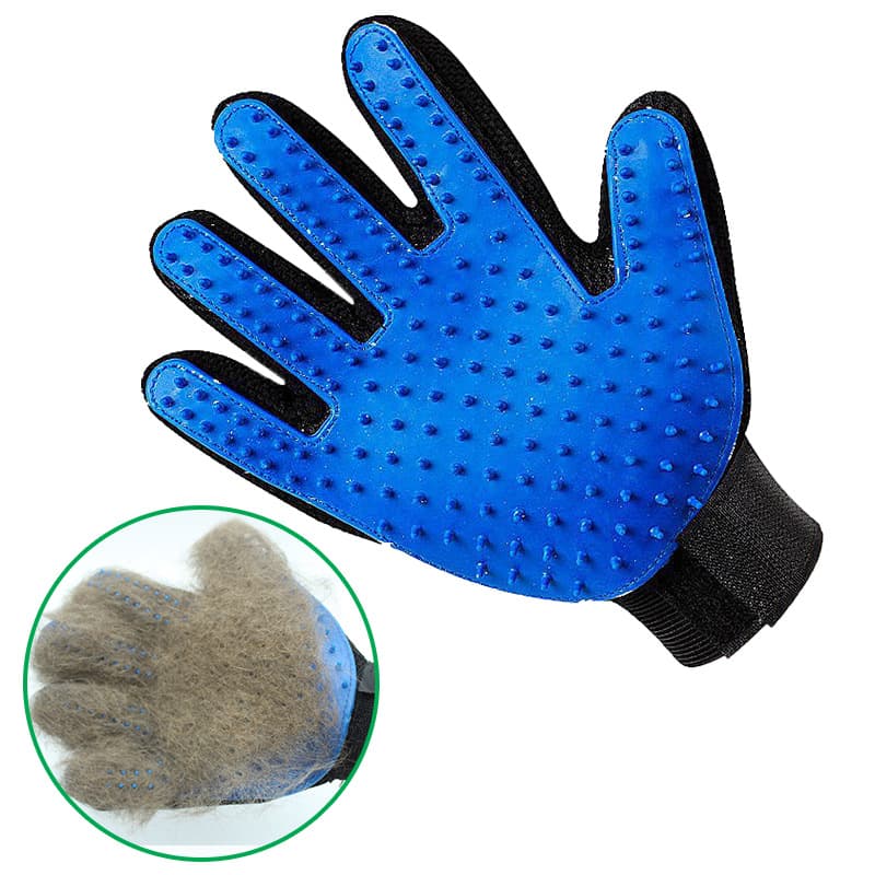 Rękawica dla zwierząt