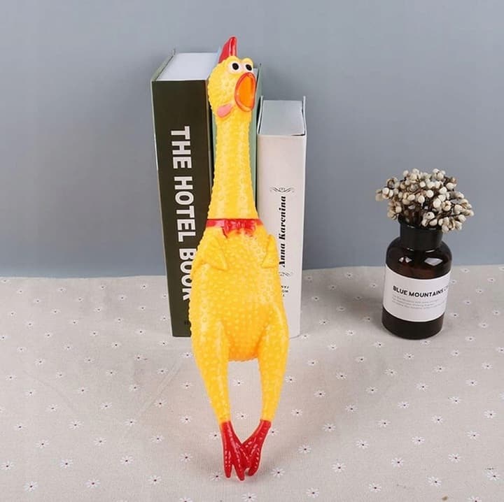 Kurczak gumowy dla psa