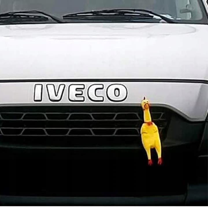 Kurczak gumowy dla psa