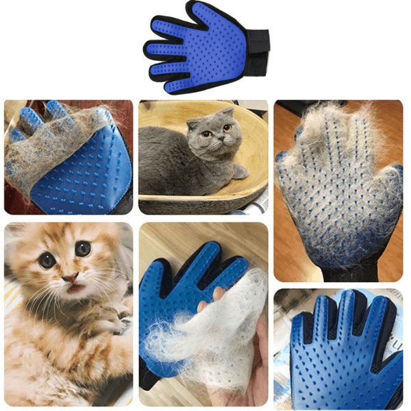 Rękawica dla zwierząt