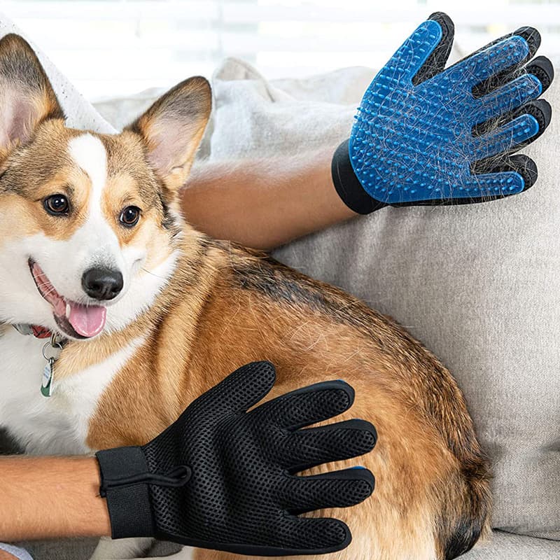 Rękawica dla zwierząt