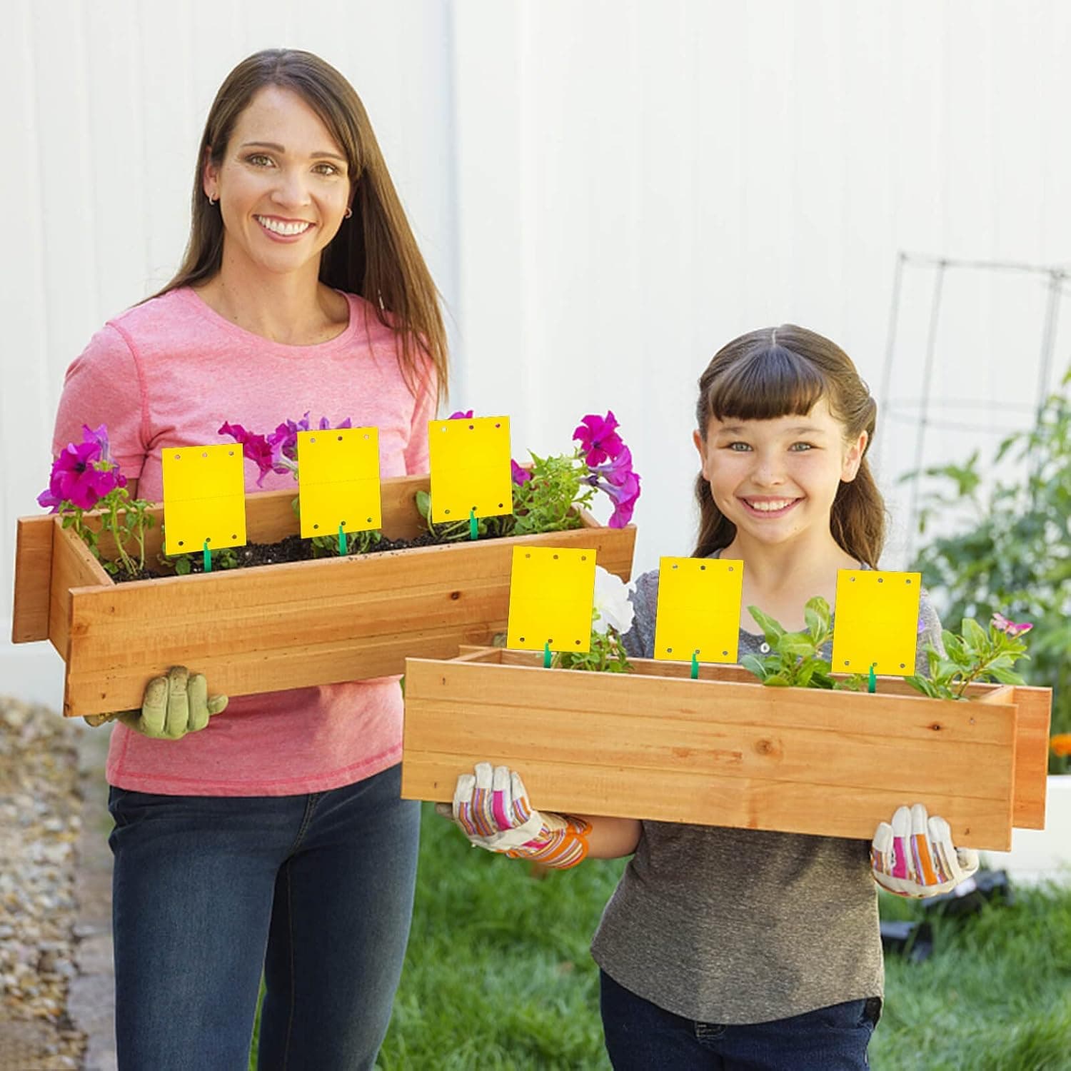 Lepy EKO na muszki mszyce owady ziemiórki 20x