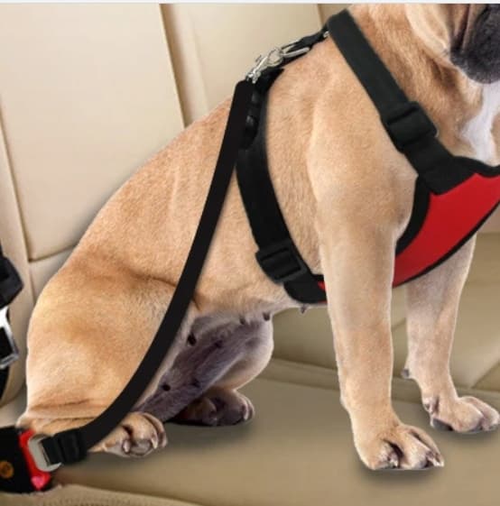 Smycz do auta czarna 65 cm